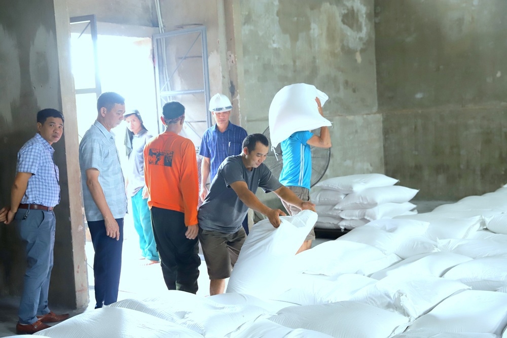 Đẩy nhanh thực hiện đấu thầu mua gạo nhập kho dự trữ quốc gia