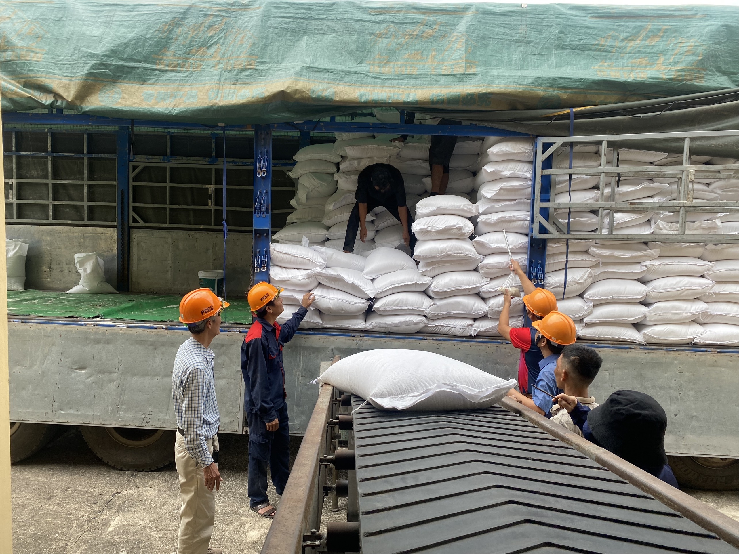 Cục Dự trữ Nhà nước tiến hành mở thầu các gói thầu mua gạo nhập kho dự trữ quốc gia năm 2025