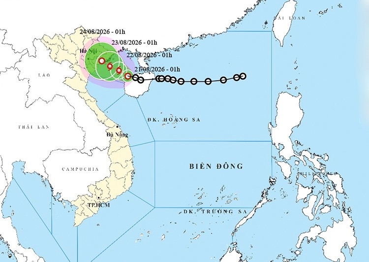 Chủ động ứng phó áp thấp nhiệt đới, bảo đảm an toàn hàng dự trữ quốc gia